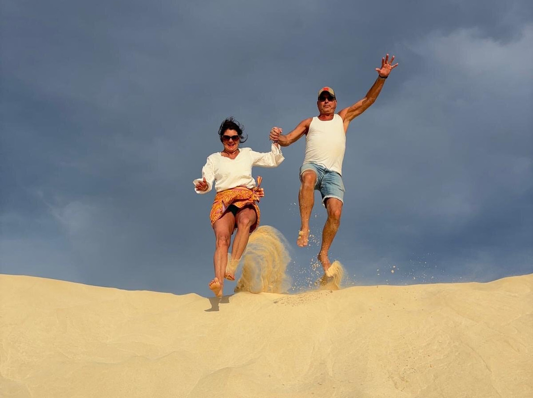 SolaCyberTours-萨尔雷必去景点