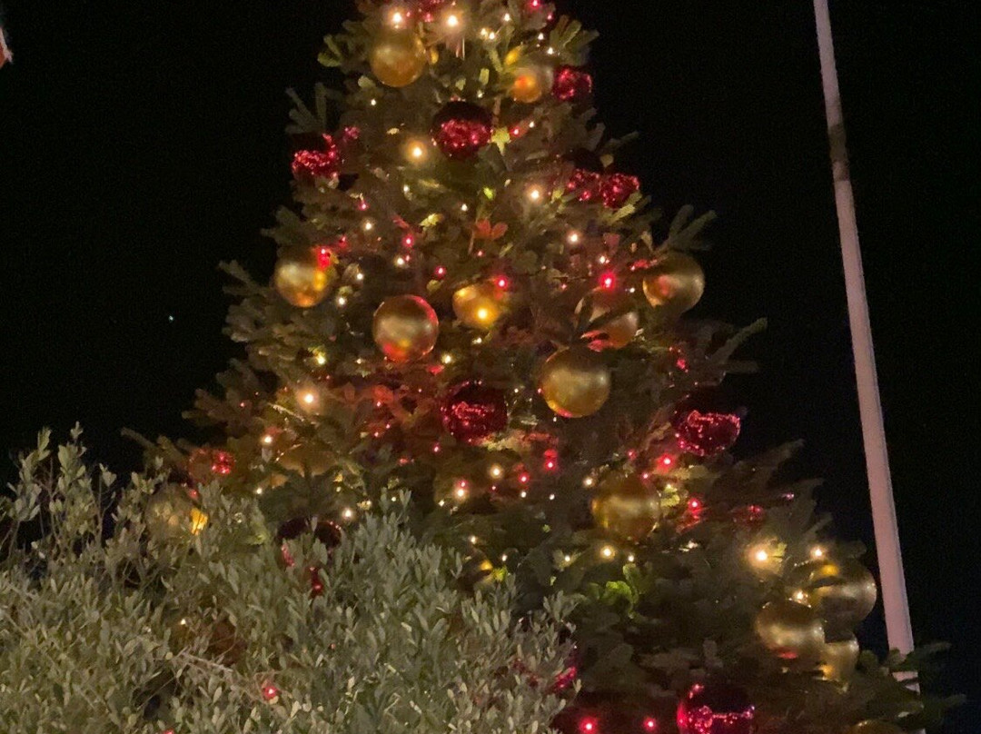 摩尔莉哈耶斯酒店主图