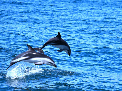 Rare Earth Tours-温德和克必去景点