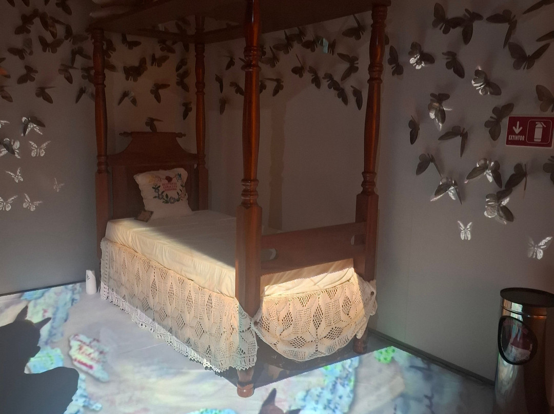 Museo Frida Kahlo-普拉亚德尔卡曼必去景点