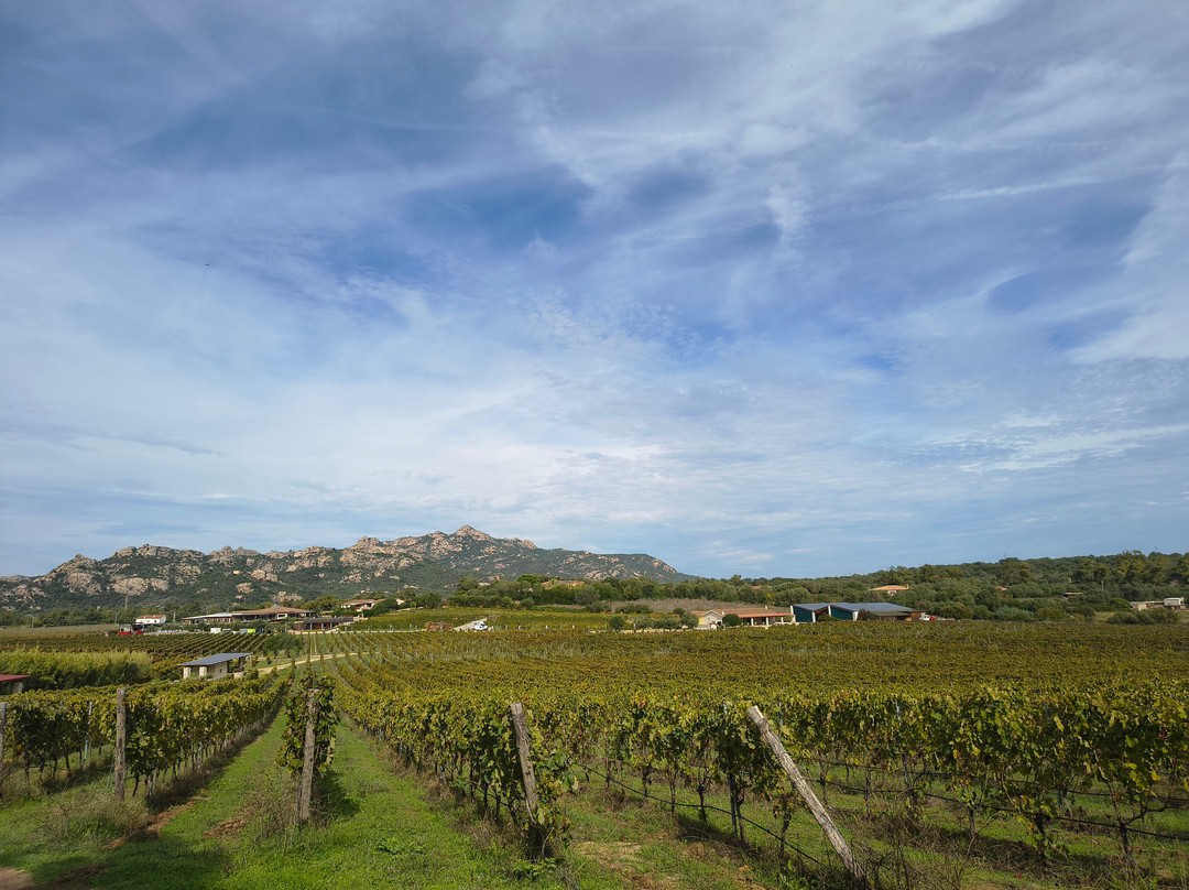 Surrau-Arzachena必去景点