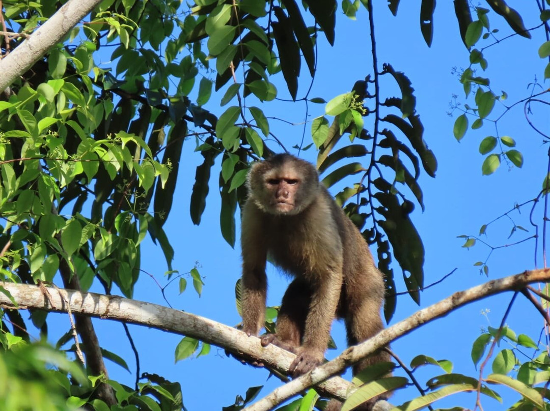 Osprey Expeditions-卡奈玛国家公园必去景点
