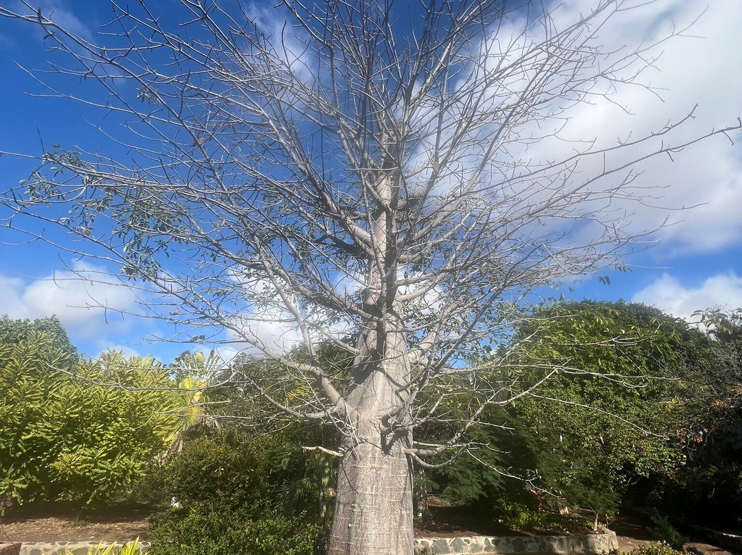 Botanical Park of Maspalomas (El Parque Botanico de Maspalomas)-马斯帕洛马斯必去景点