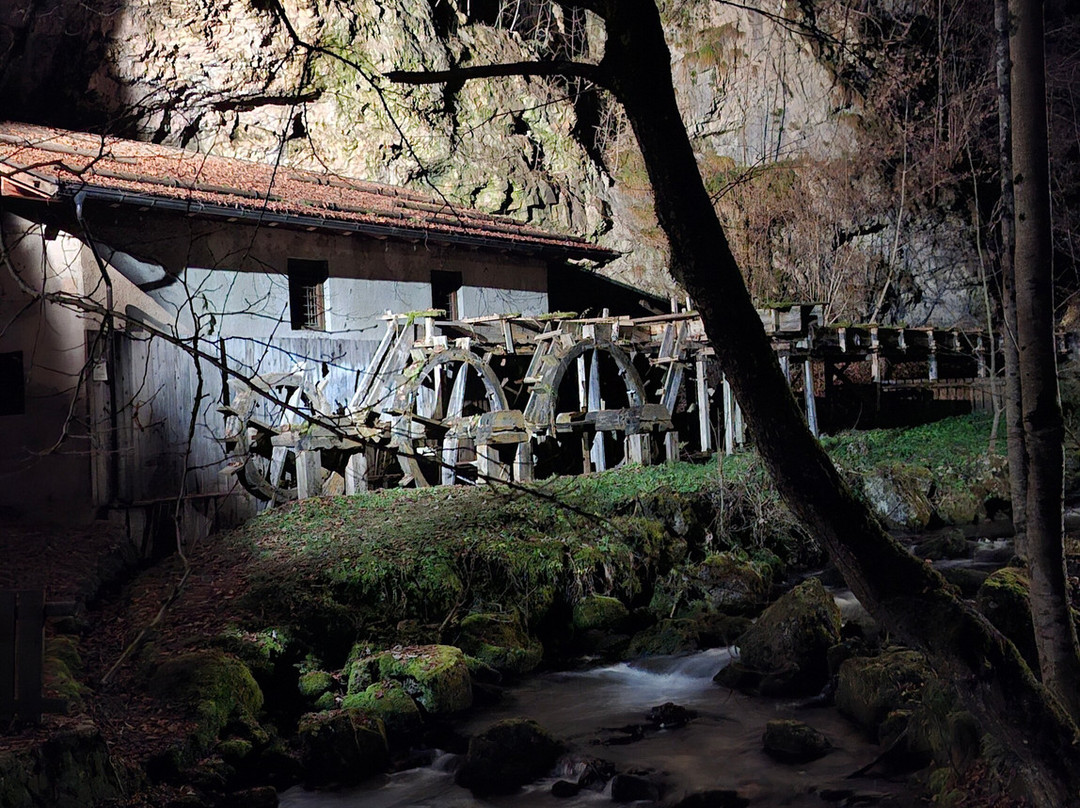 Agritur Pisani主图