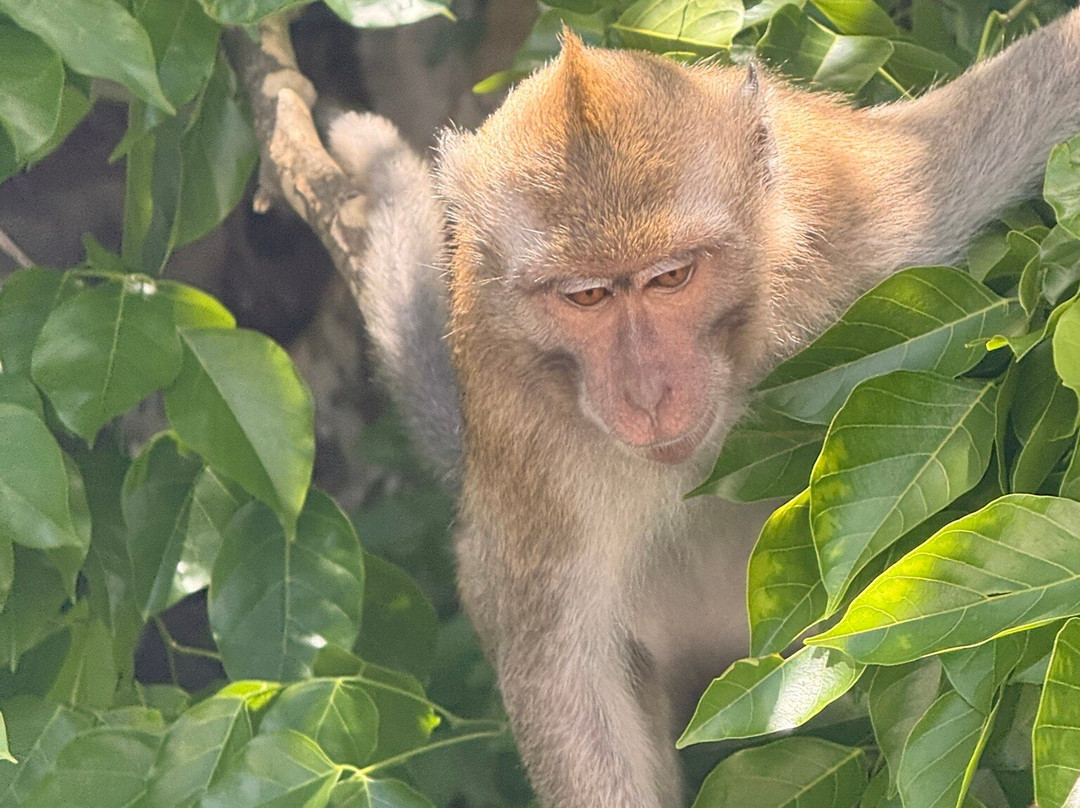 Belle Mare Tours-贝尔马尔必去景点