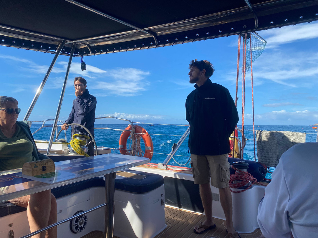 White Tenerife-奥德杰海岸必去景点