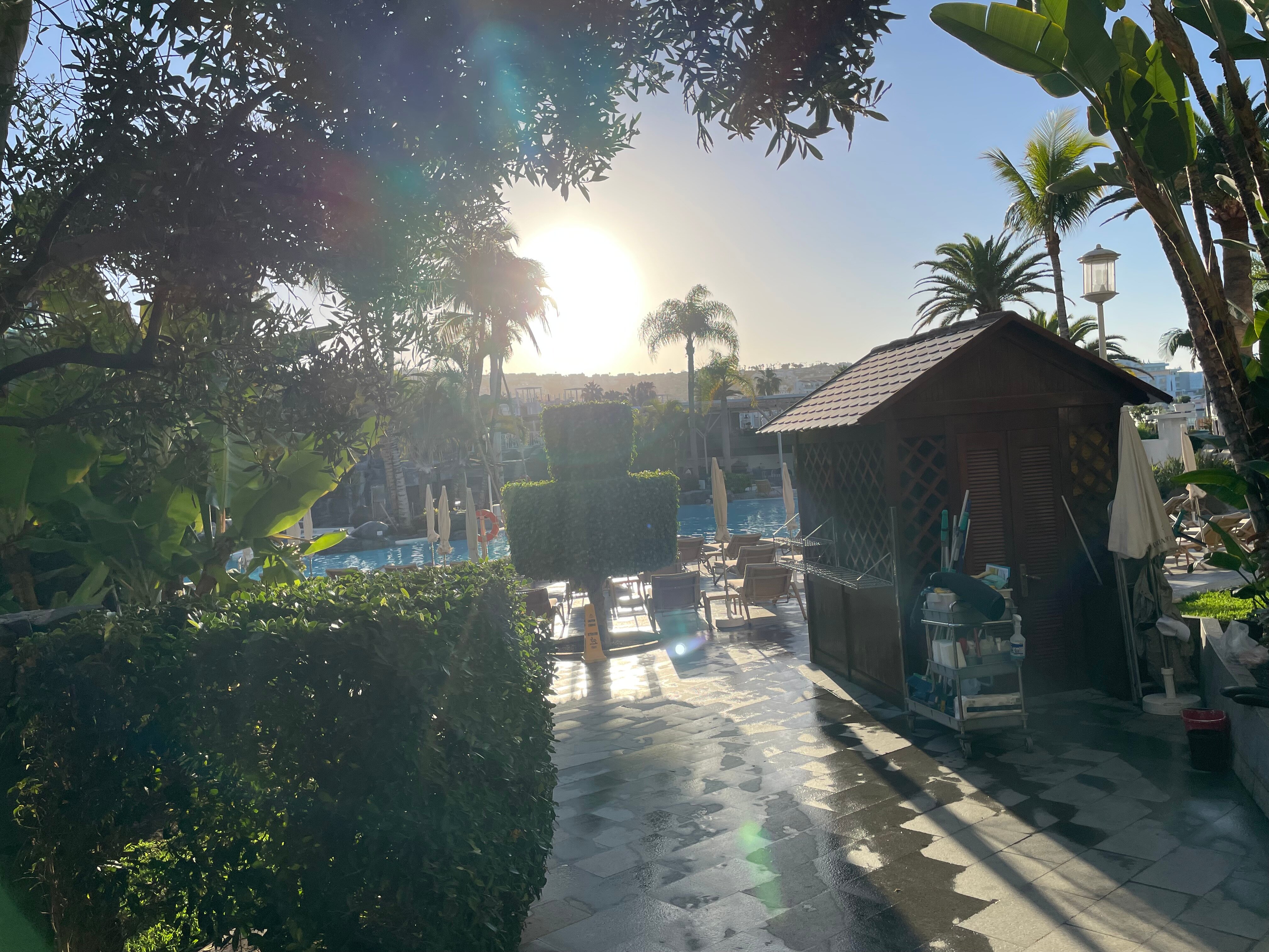 尼瓦利亚花园酒店-泳池