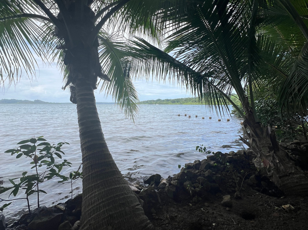 Green Acres Chocolate Farm and Nature Preserve-Cerro Brujo必去景点