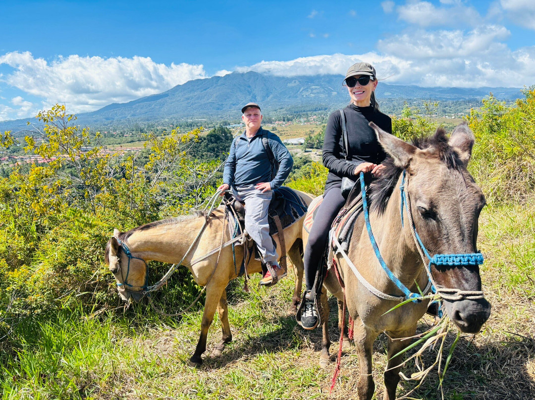 Rancho Nuovo Mundo-Alto Boquete必去景点
