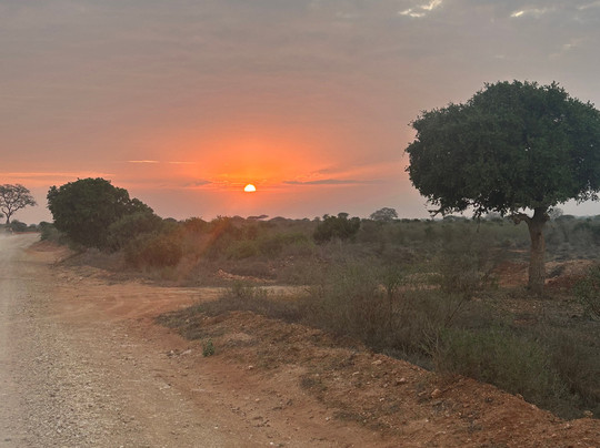 Watamu Safari Kenya-瓦塔木必去景点