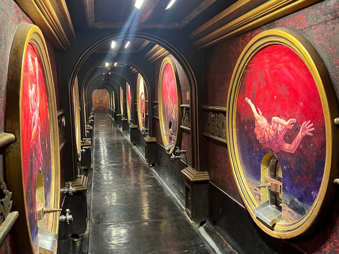 Bodega Los Toneles-门多萨必去景点