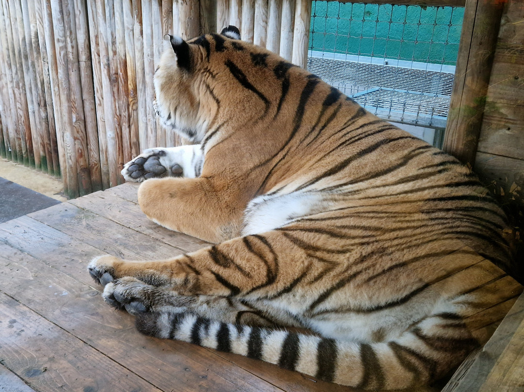 Lincolnshire Wildlife Park-Friskney必去景点