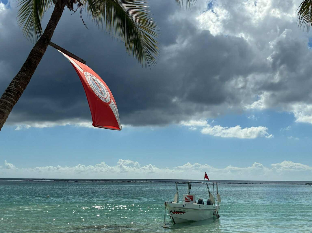 Tropical Sea Divers-博卡奇卡必去景点