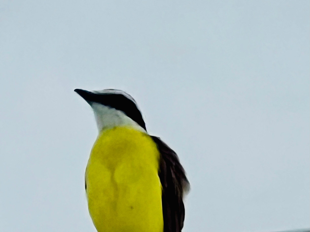 Gaia Hotel & Reserve主图