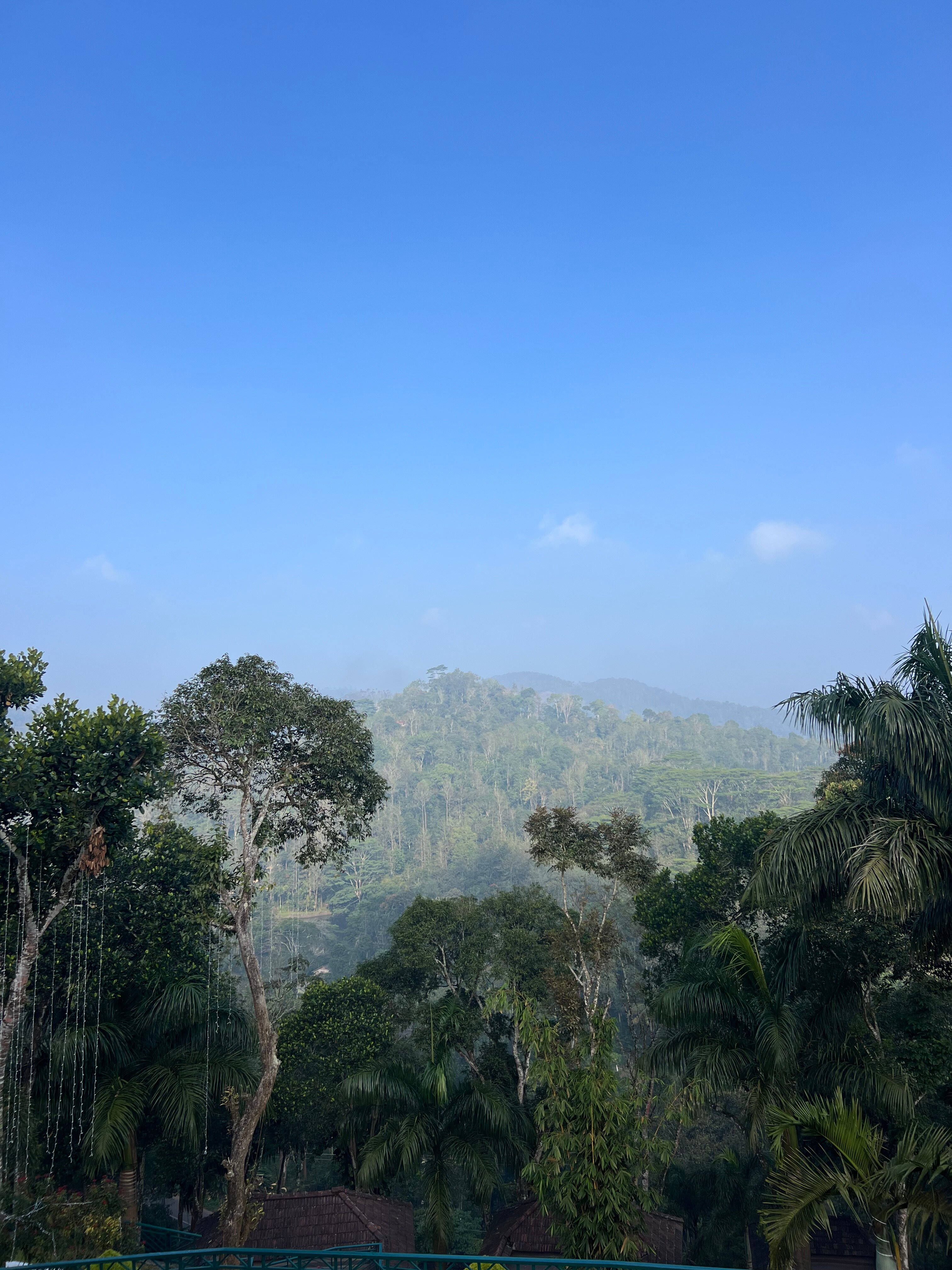 Forest Canopy Thekkady-官方