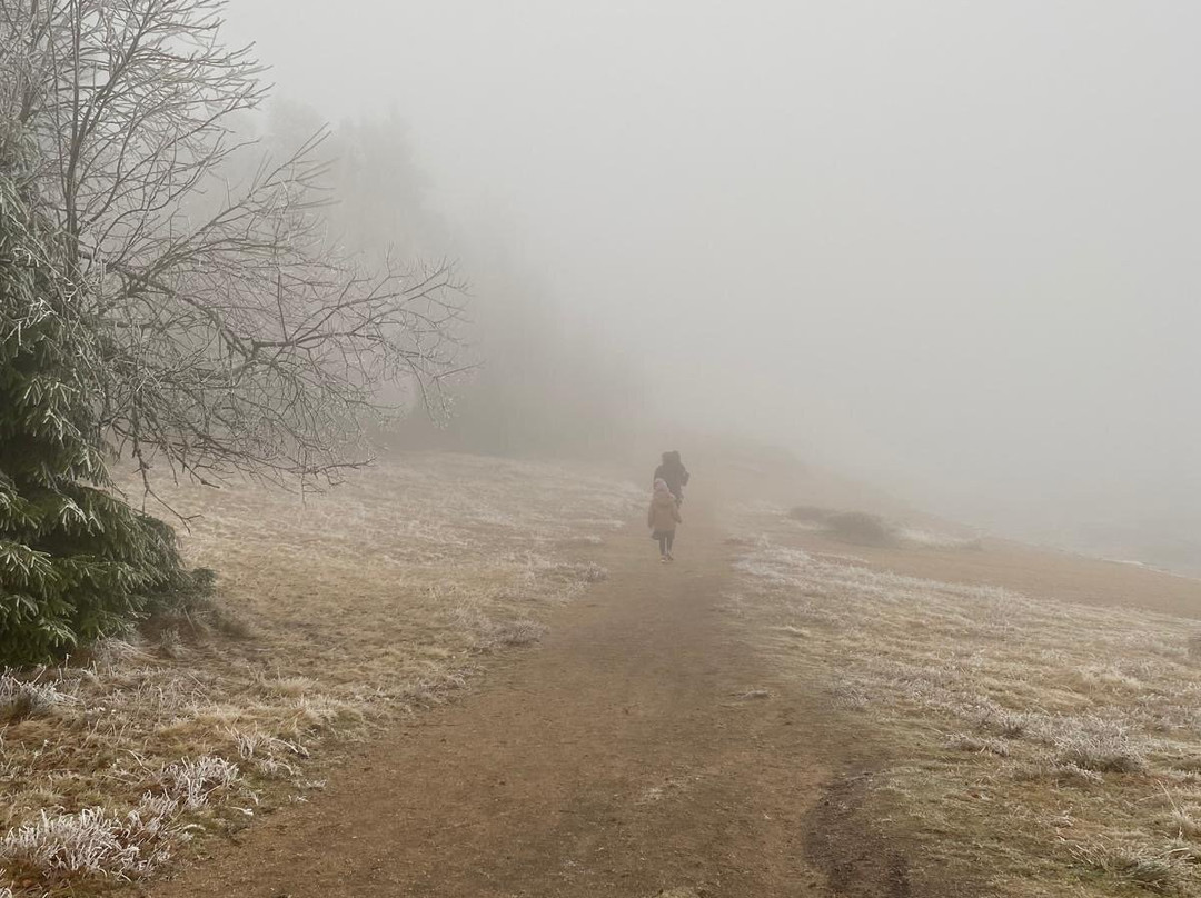 Oderteich-Sankt Andreasberg必去景点