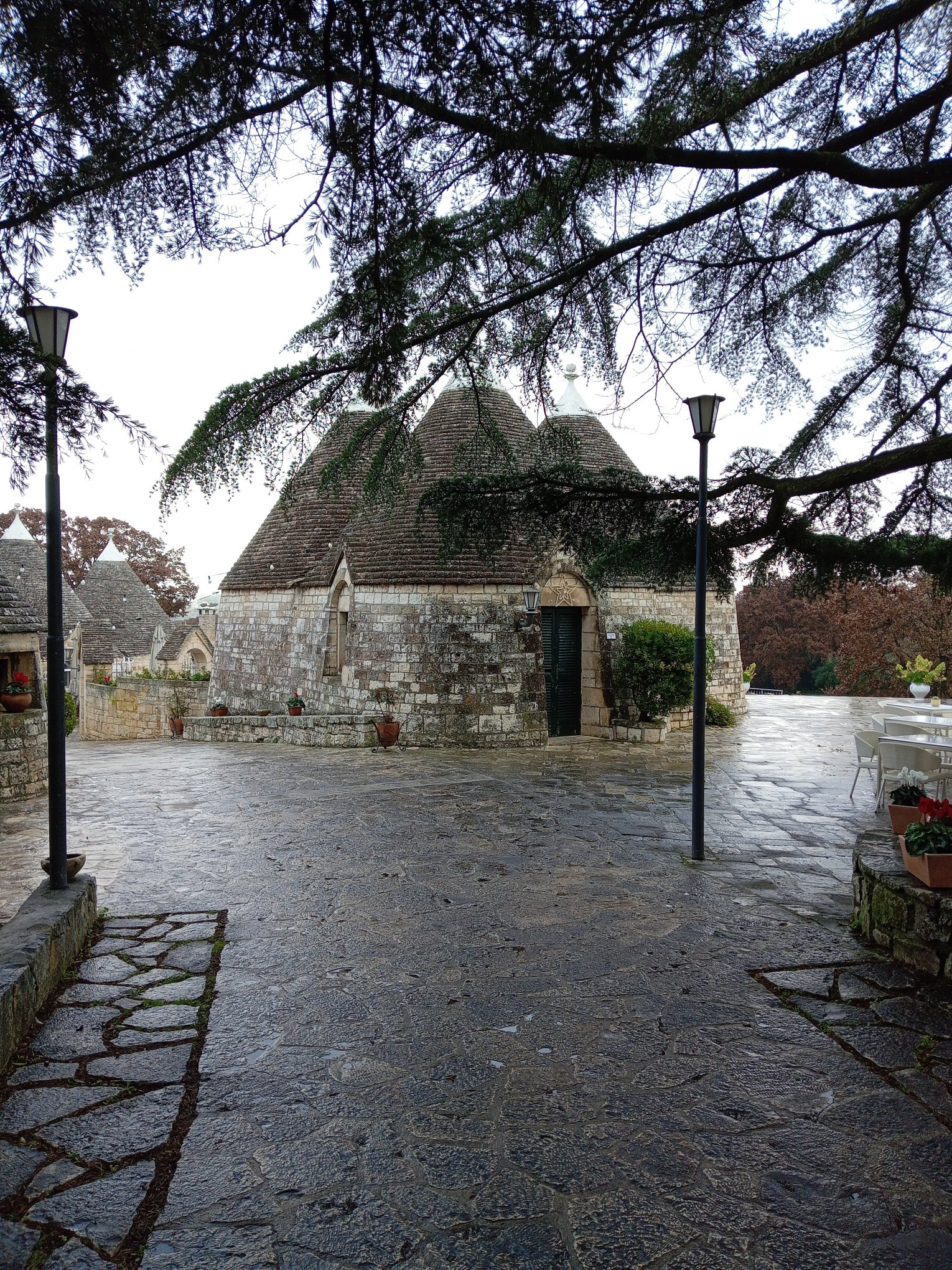 泰努塔蒙那切雷酒店-官方