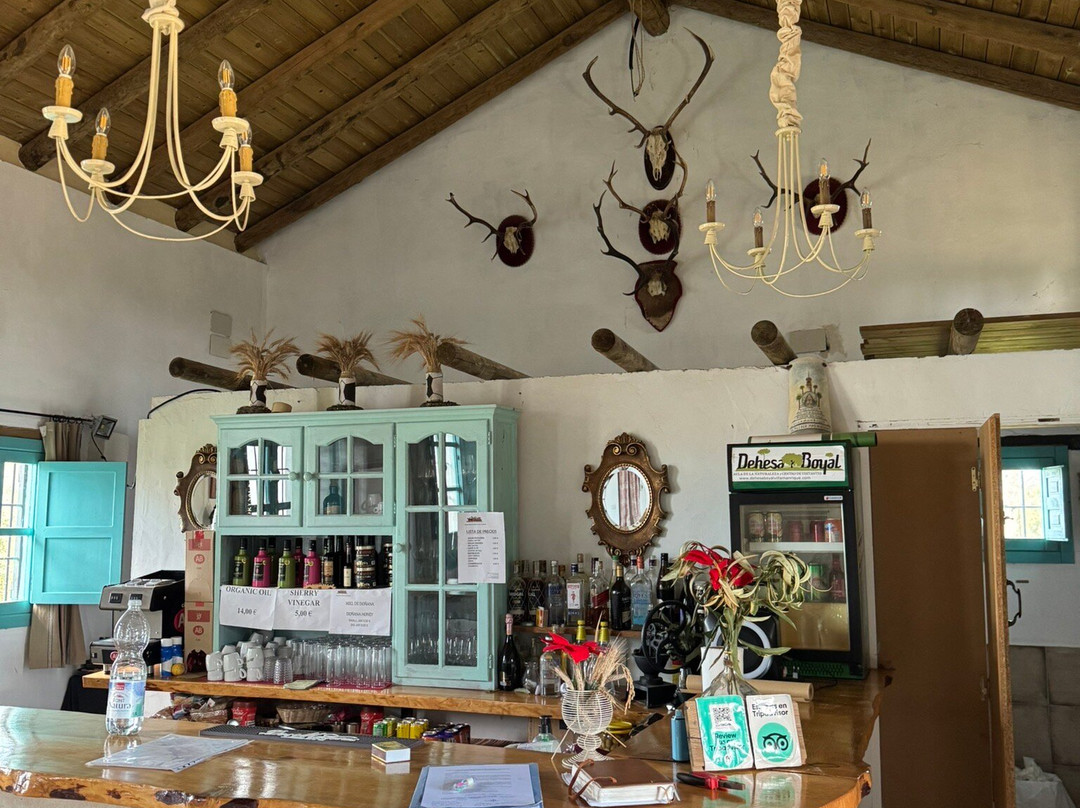 Dehesa Boyal-Villamanrique de la Condesa必去景点