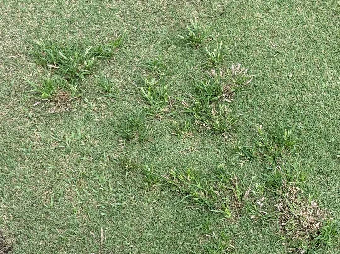 River Hall Country Club-Alva必去景点