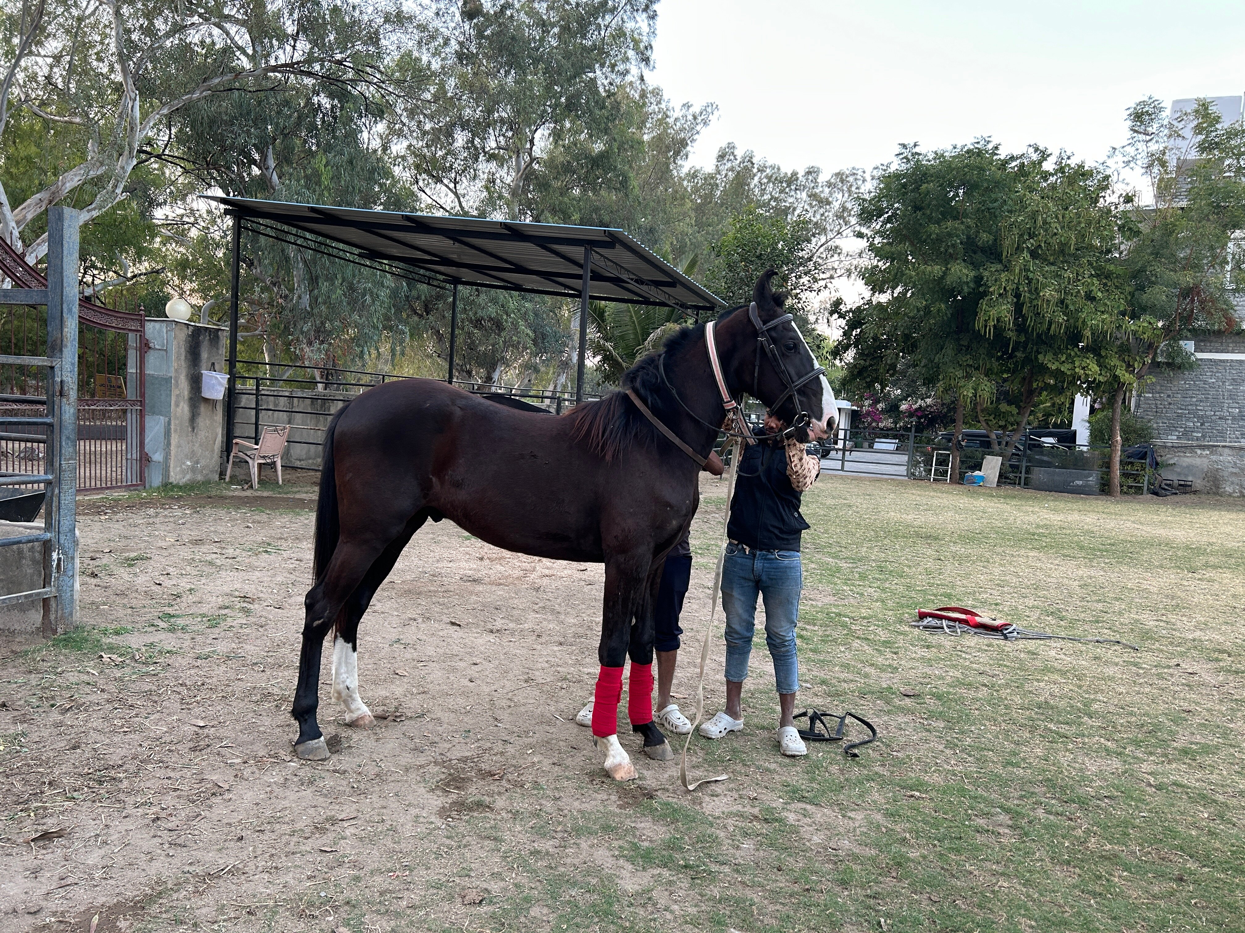 Ranakpur Safari Resort-官方