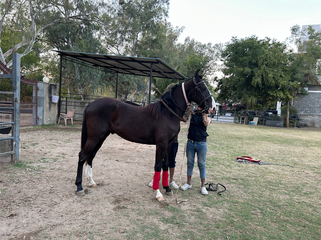 Ranakpur Safari Resort主图