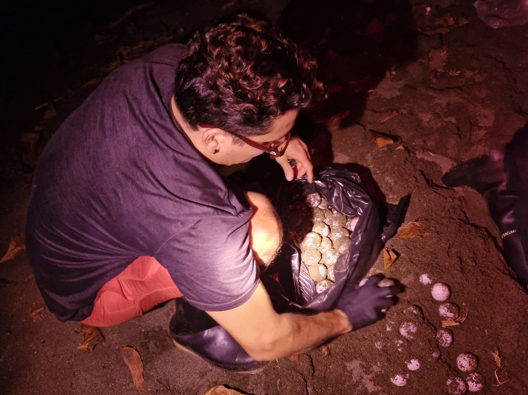 Osa Conservation Campus-希门尼斯港必去景点