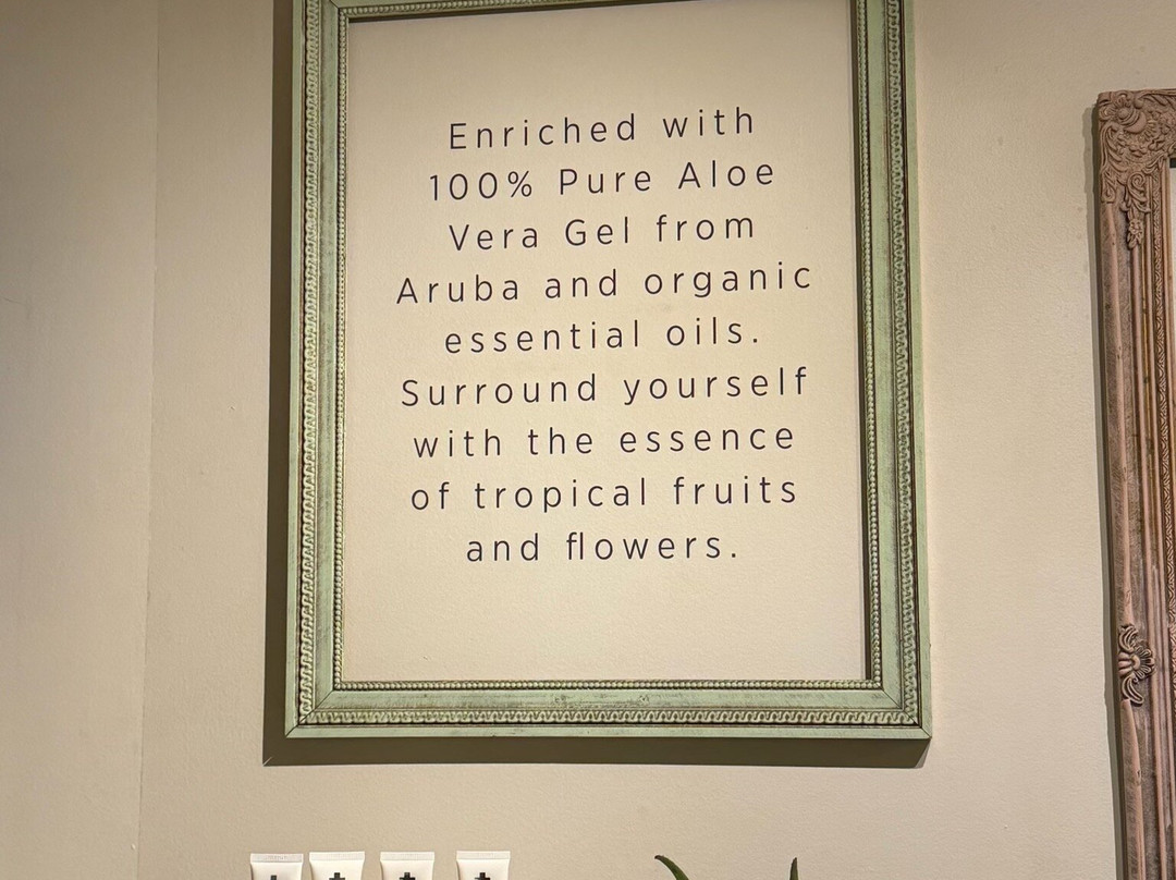 Aruba Aloe Factory, Museum and Store-阿鲁巴岛必去景点