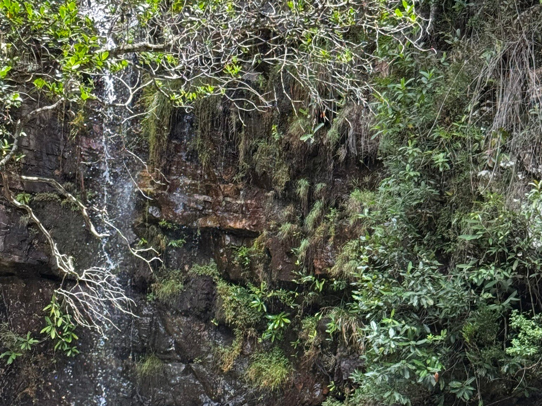 Cachoeira Loquinhas-上帕拉伊苏迪戈亚斯必去景点