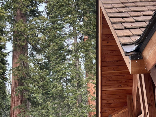 Mariposa Grove of Giant Sequoias-优胜美地国家公园必去景点