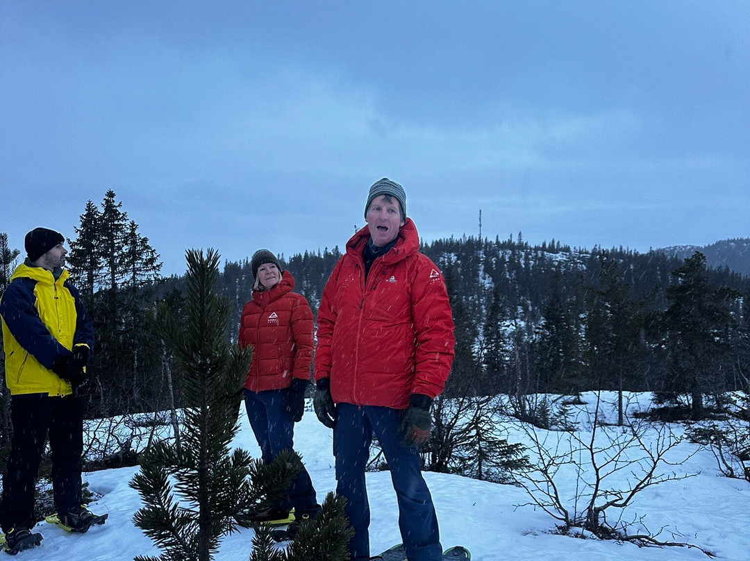 Sigdal Aktiv-Eggedal必去景点