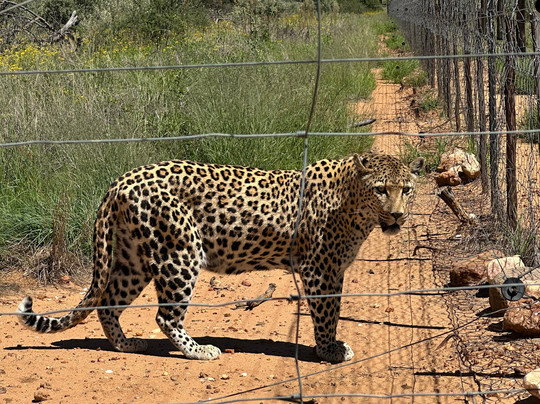 Gazechase Travels-温德和克必去景点