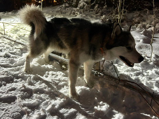 Small Lapland-Pillapalu必去景点