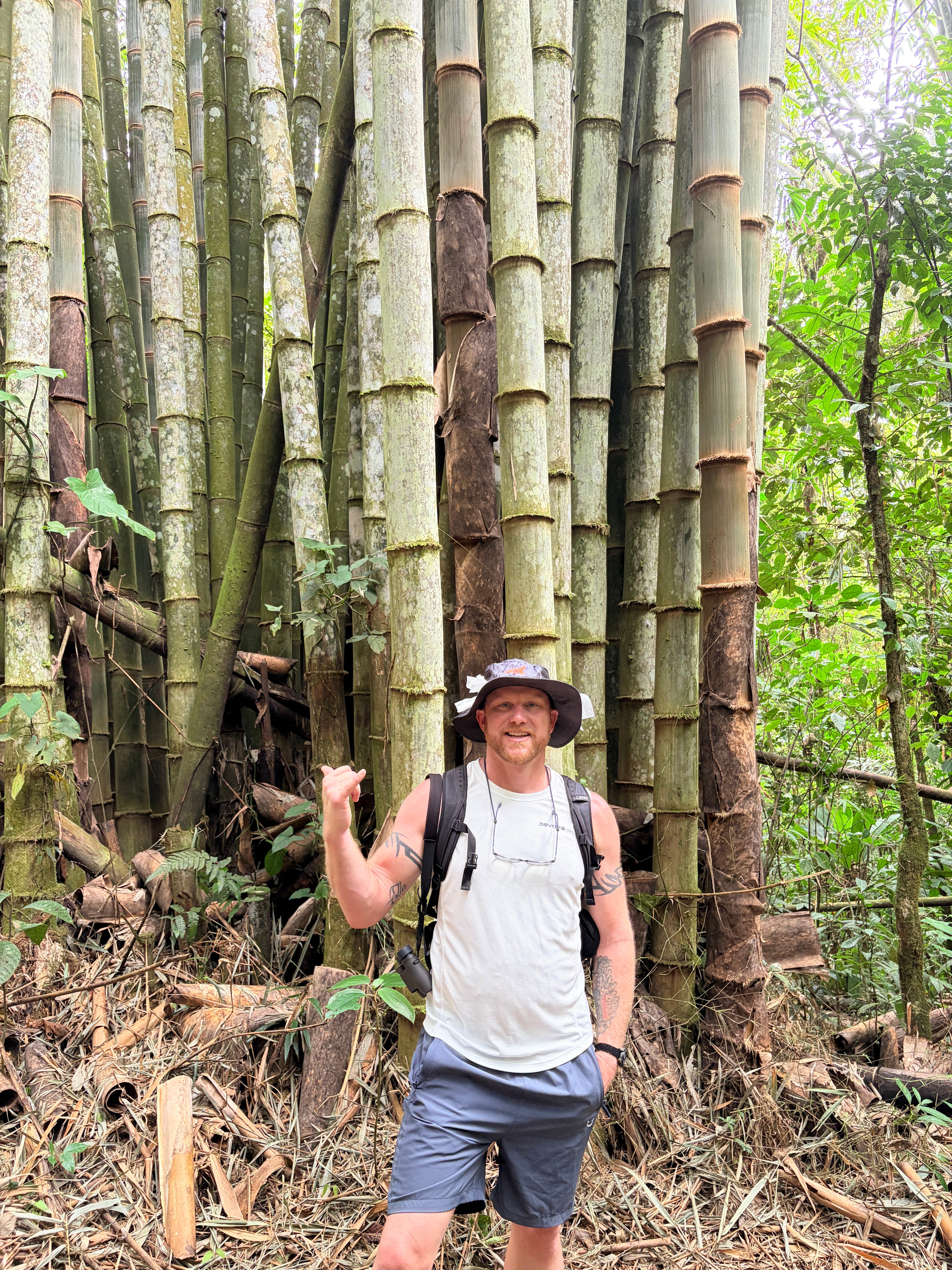 Tree Houses Hotel Costa Rica-官方