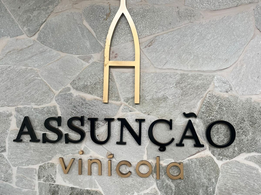 Vinícola Assunção-Pirenopolis必去景点