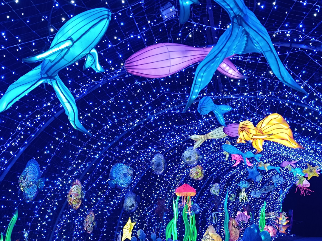 Safari De Peaugres-Peaugres必去景点