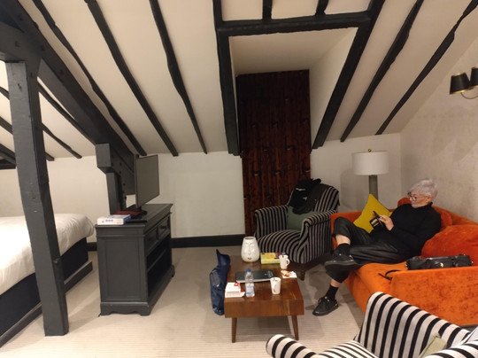 贝德福德天鹅宾馆酒店主图