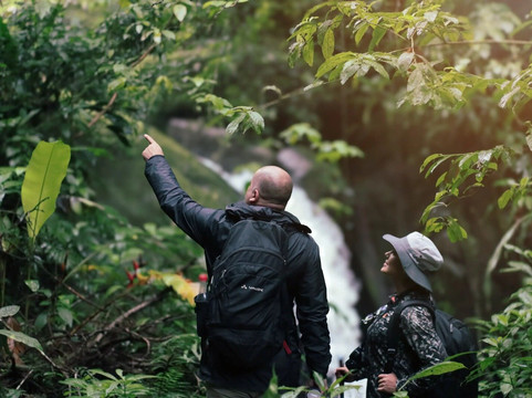 Montuno Birding-Monterrey必去景点