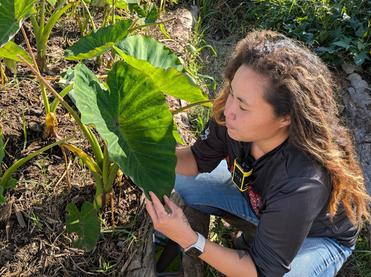 Ohana Ranch-山景城必去景点