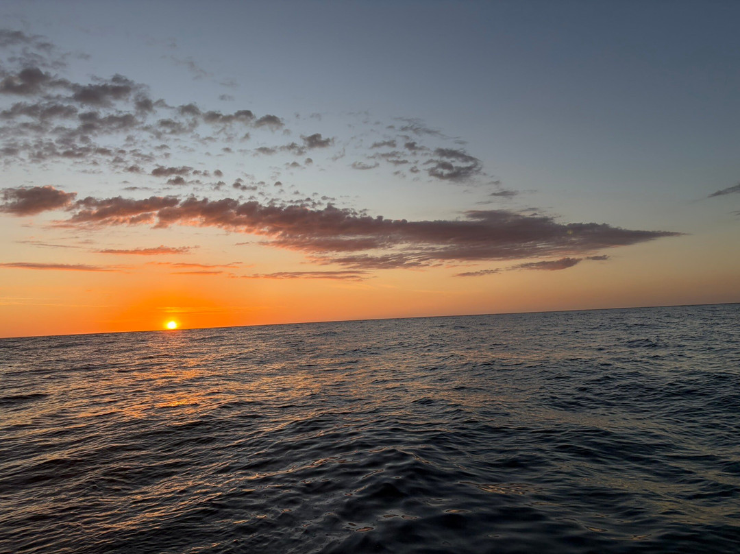 Nosara Sea Saw Tours-Garza必去景点