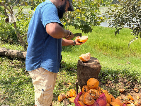 KIA Lanka Travels-康提必去景点