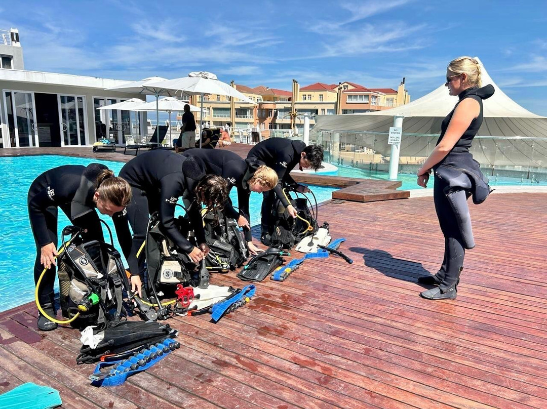 Just Africa Scuba PTY LTD-高登湾必去景点