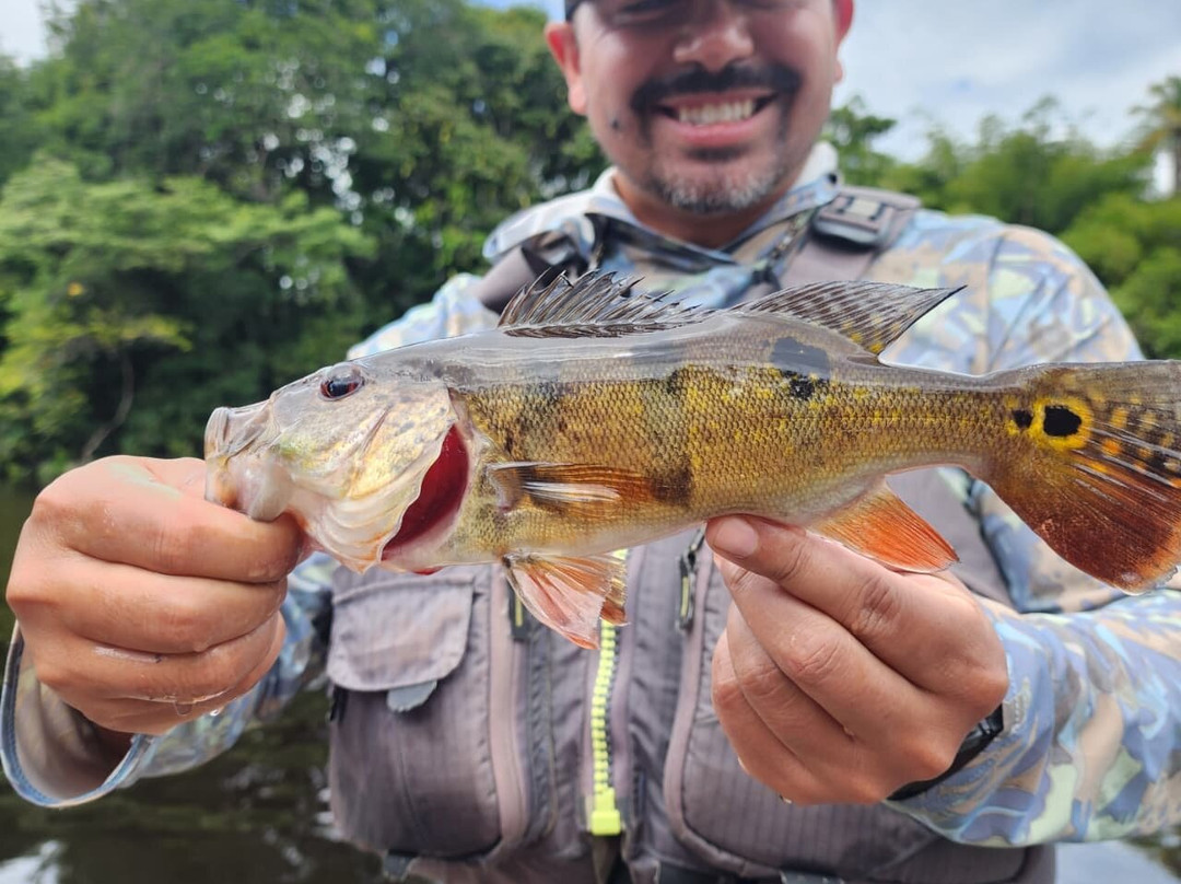 Blackwater Adventures-乔治城必去景点