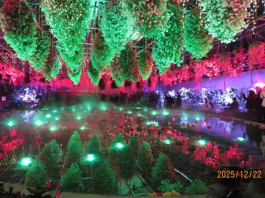 Begonia Garden-桑名市必去景点