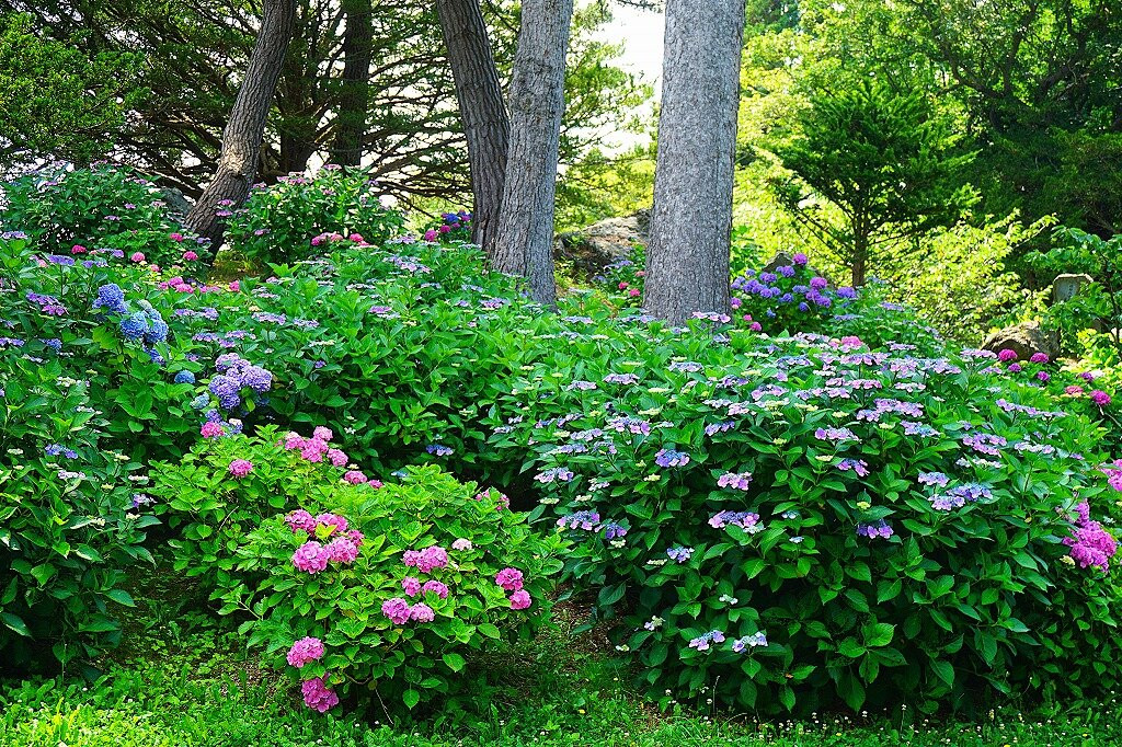 善光寺-伊达市必去景点