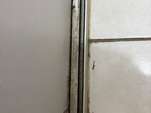 Hotel Fazenda Pommernland主图