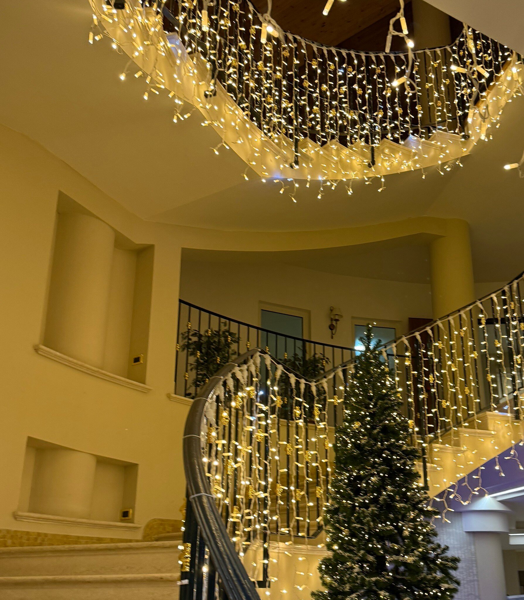 精华大酒店-官方