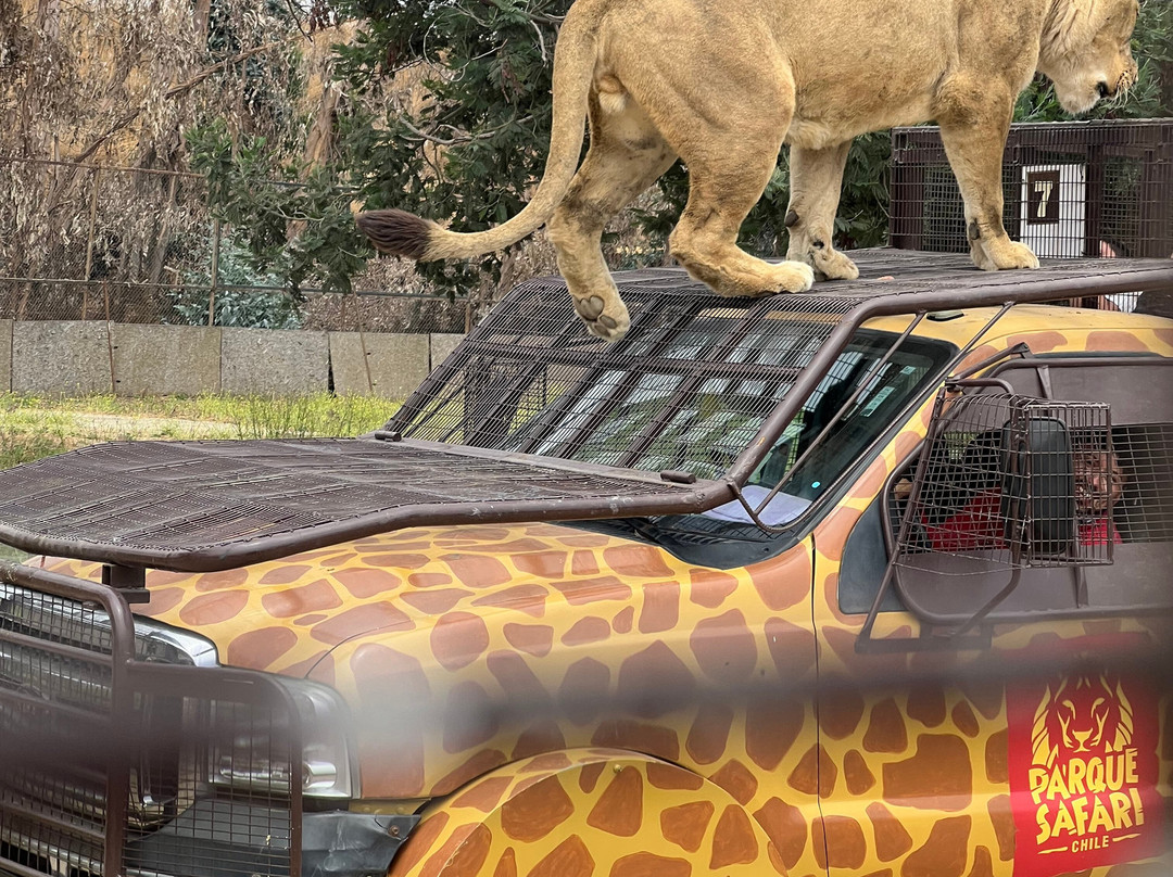 Parque Safari-兰卡瓜必去景点