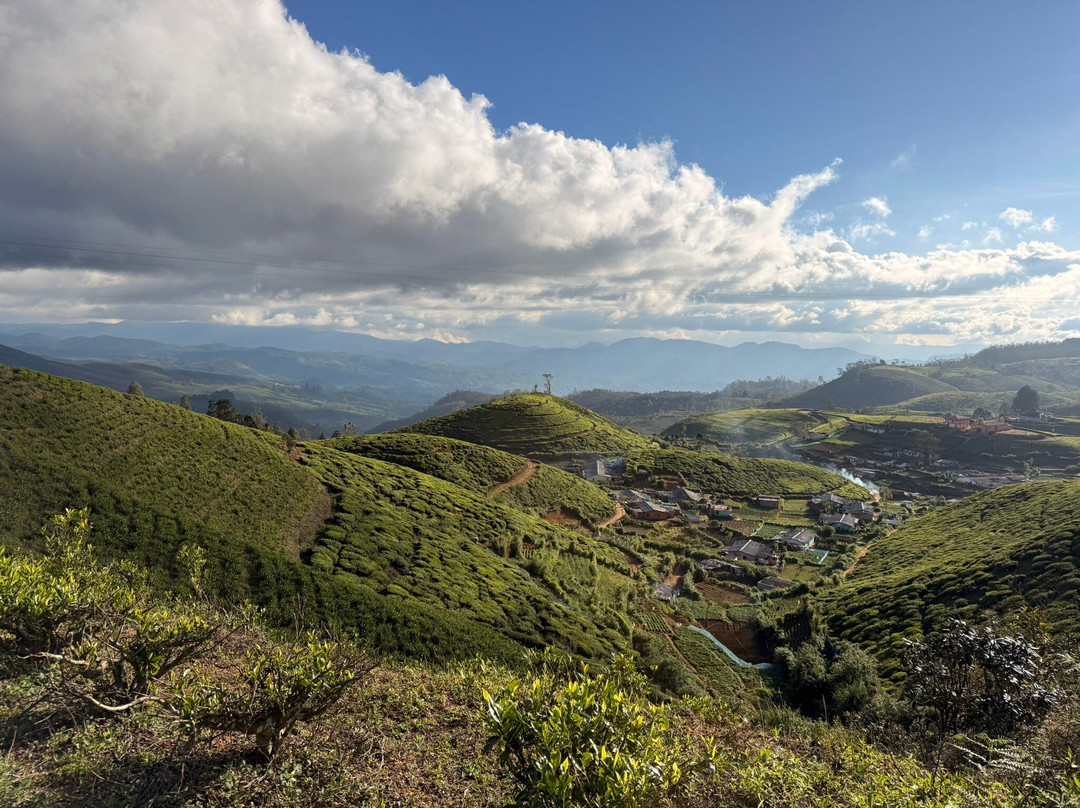 Best of Lanka-科伦坡必去景点