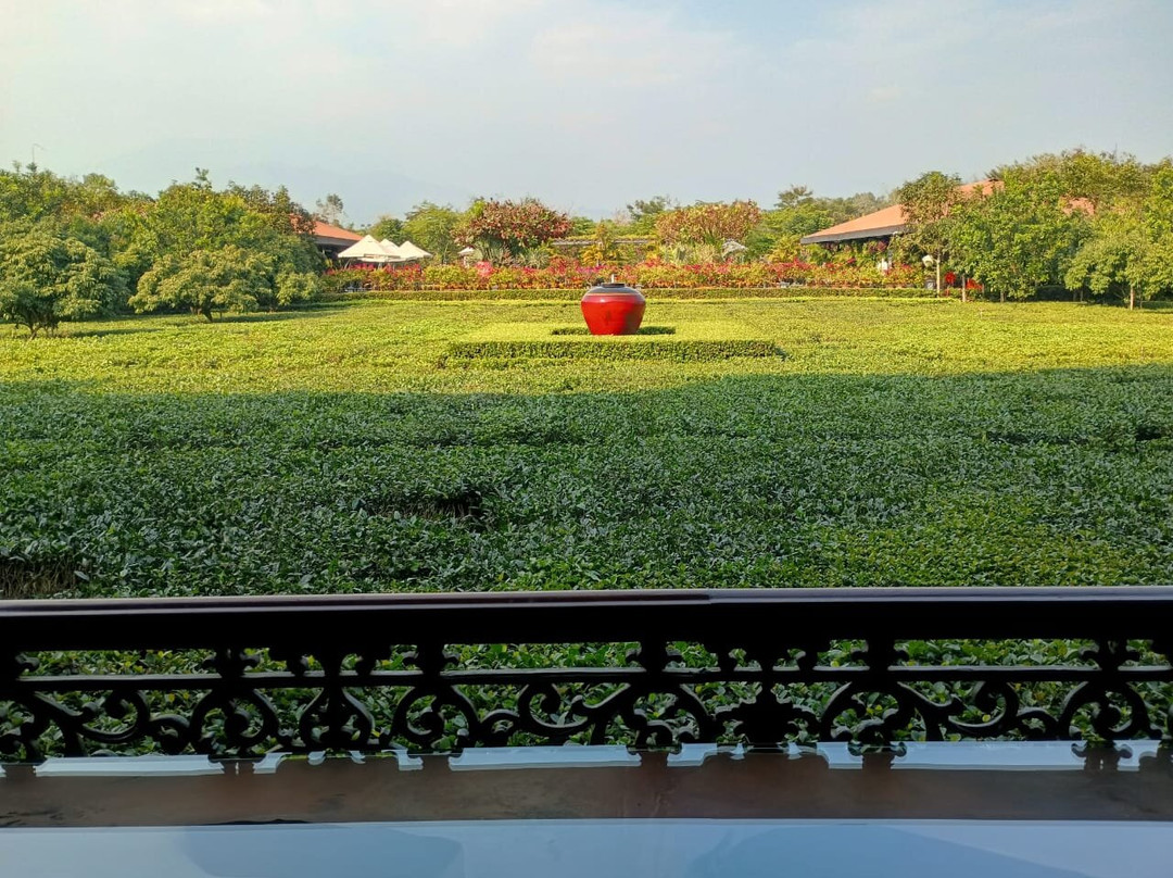 MAYFAIR Tea Resort主图