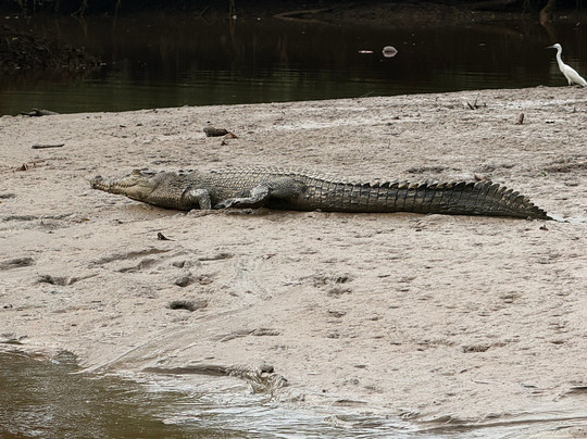 Brunei River-斯里巴加湾必去景点
